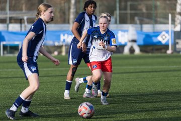 Bild 295 - wBJ Hamburger SV - Hertha BSC : Ergebnis: 2:1